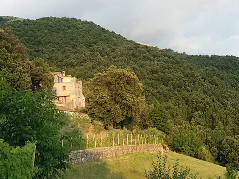 Kleines feines helles Appartment im Gruenen mit Meerblick