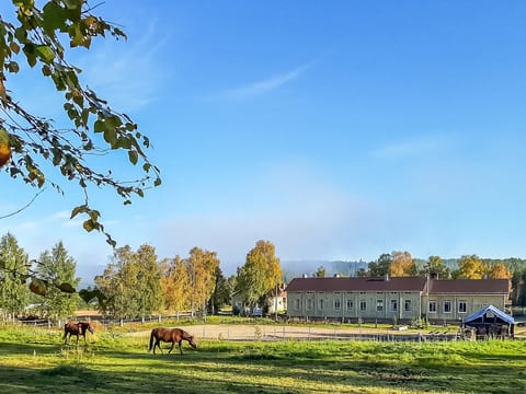Juotas village