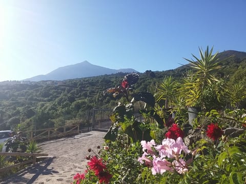 Ecolodge Tenerife 3  bedroom c
