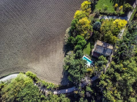Licht unter den Buchen, Marche Urlaub, privater Pool