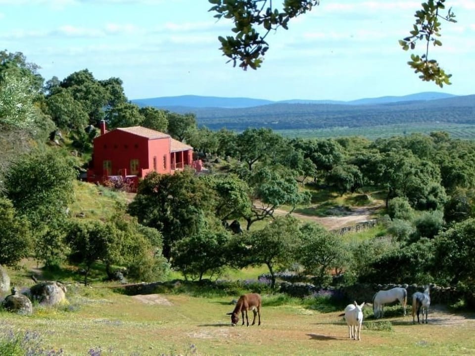 Das Cortijo auf der Finca al-manzil - Montánchez