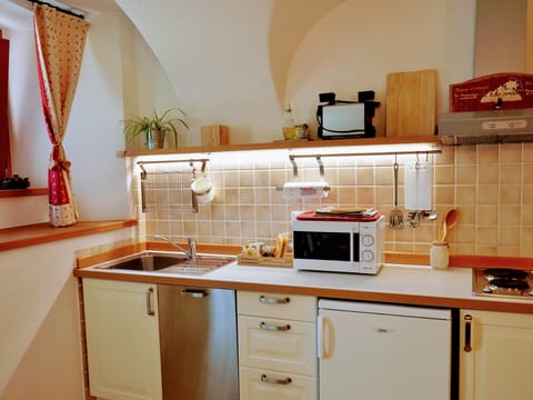 Einzimmerwohnung Die Katze in Gignod