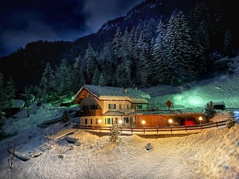 Cesa Vedla DOLOMITES