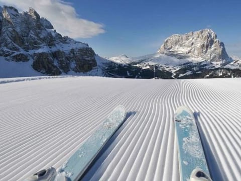 Cesa Vedla DOLOMITES