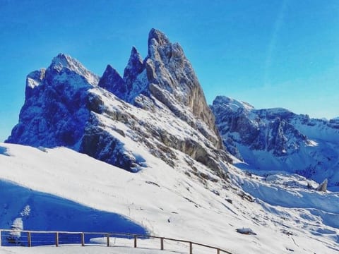 Cesa Vedla DOLOMITES