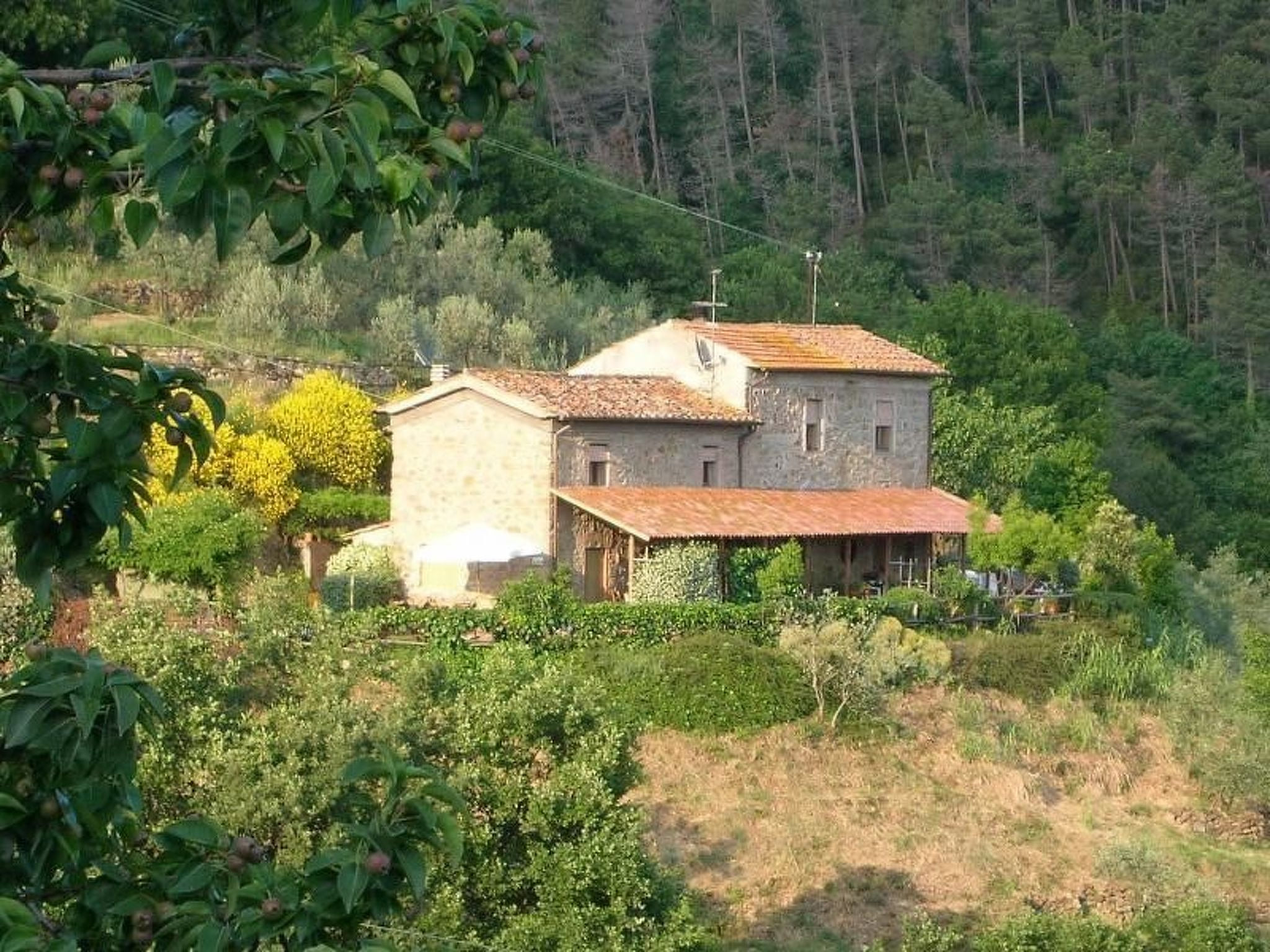 Bauernhaus Biancospino