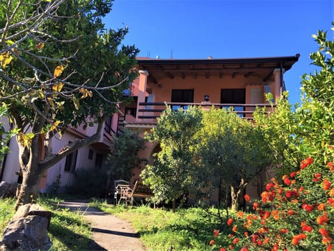 Casa del Cedro
