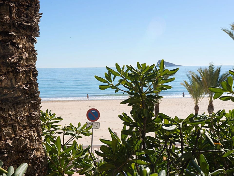 Casa Blanca 4 - Benidorm