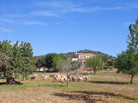 Finca Can Marines