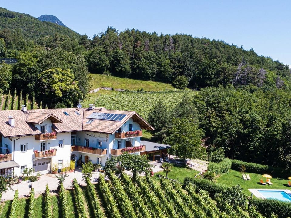 Apartment Merlot in Kurtatsch mit Panoramablick - Aldein