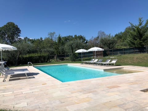 Grünes Appartement