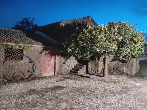 Le Palme in linera