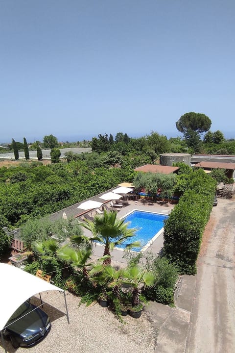 Le Palme in linera