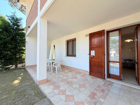 PINO 2