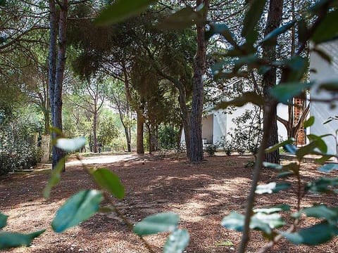 Villa 'Alba 2B' in Strandnähe