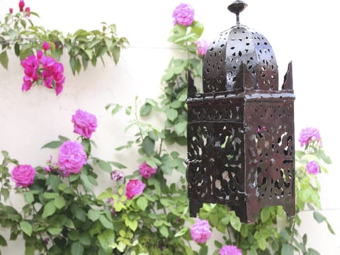 Casa Isabel - gemütliche Wohnung mit Terrasse