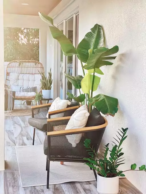 Gorgeous covered lanai - The Tampa House: New 2021 Modern Stadium Home - Tampa