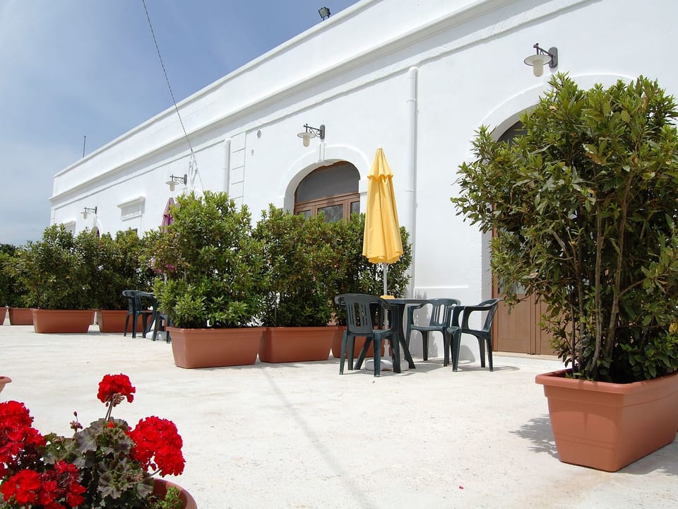 GIALLO - Cisternino
