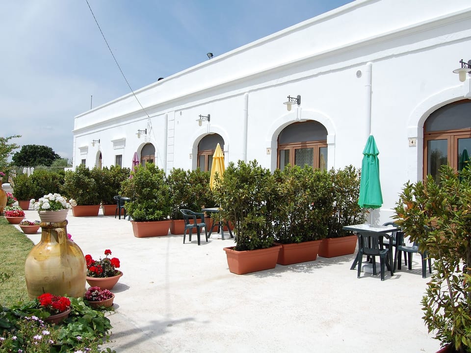 VERDE - Cisternino