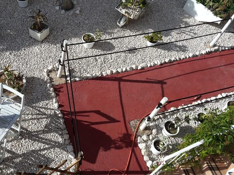 Agnese