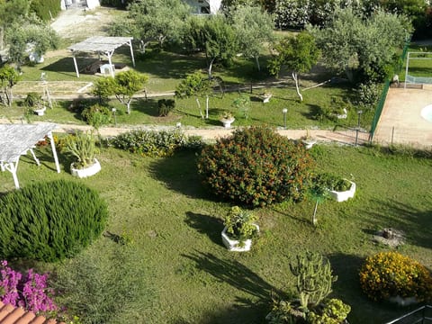 Agnese