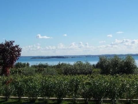 Wohnung mit Seeblick
