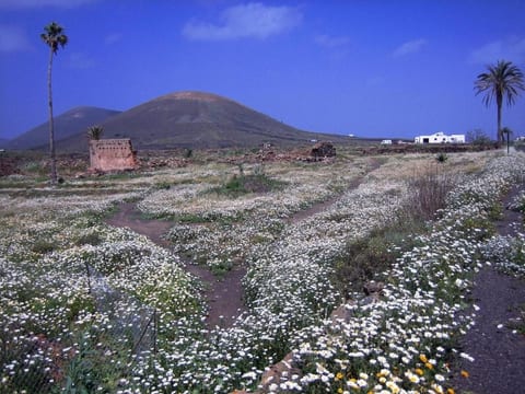 Castillo Lanzarote Villa Winni