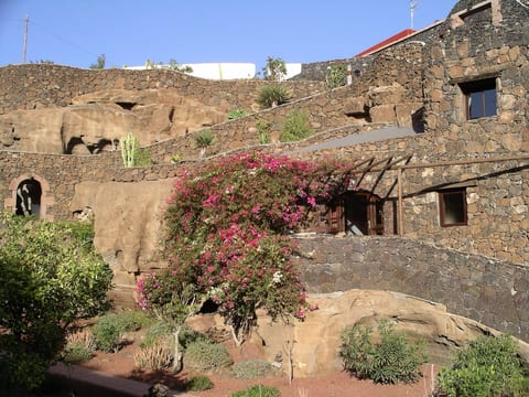 Castillo Bailey