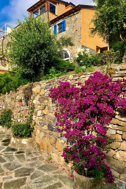 Casa Belvedere