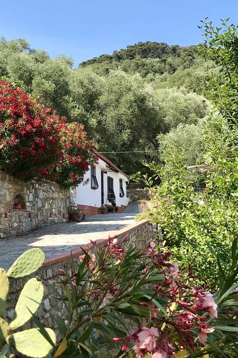 Casa Uliveto