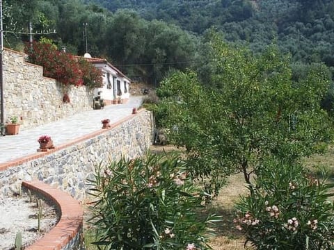 Casa Uliveto