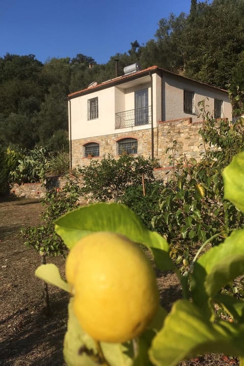 Casa Mediteraneo