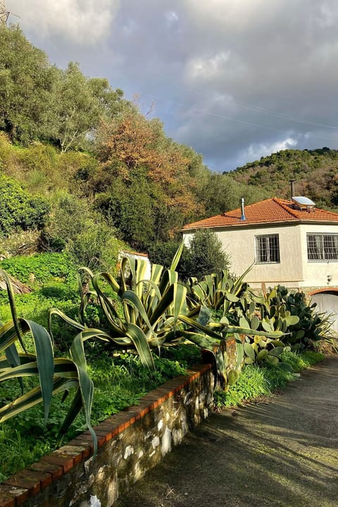 Casa Mediteraneo