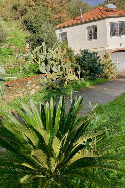 Casa Mediteraneo