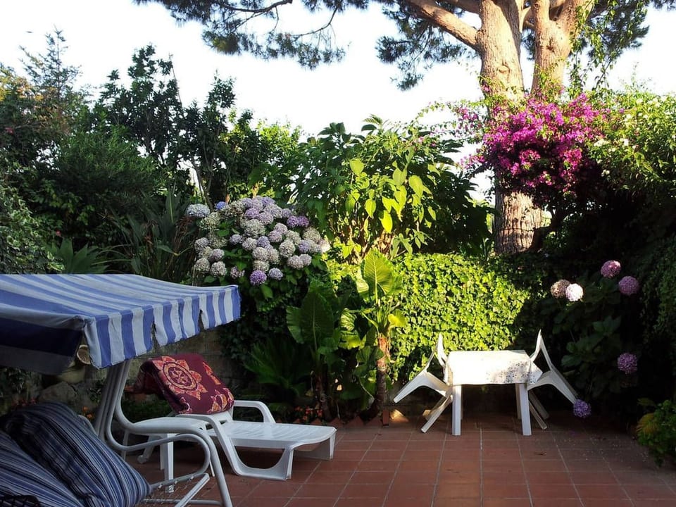 La Terrazza - Barano d'Ischia