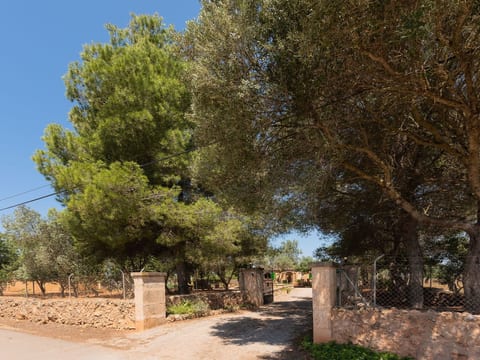 Villa Es Tres Pins