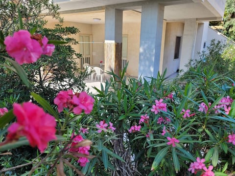 mit grosser Terrasse direkt am Meer