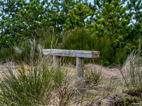 Place
