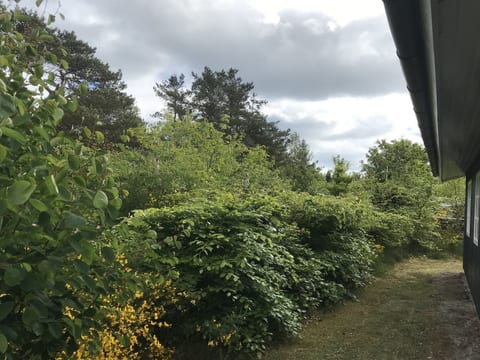 Outdoor
