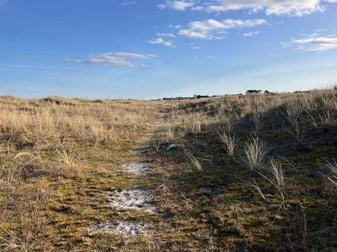 Outdoor