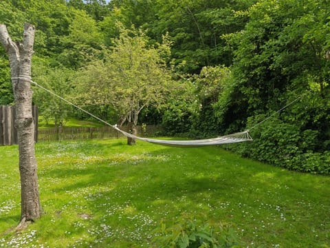 Place