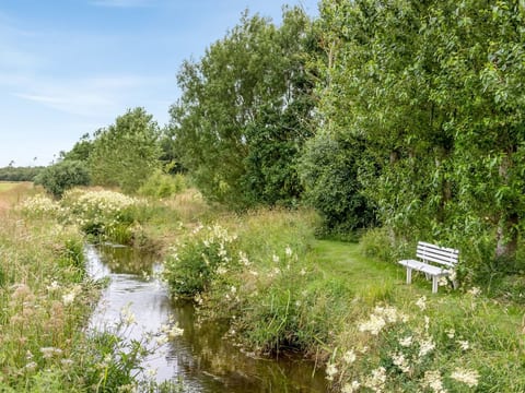 Place