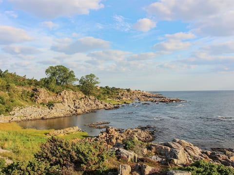 "Markus" - 300m from the sea