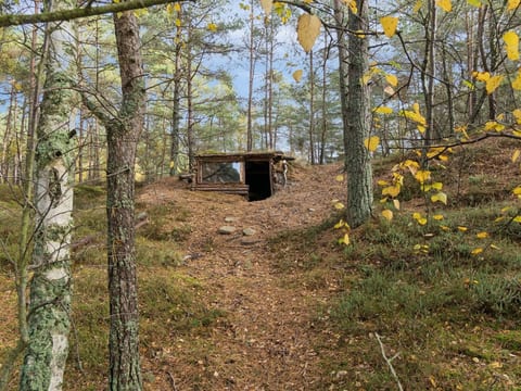 Place