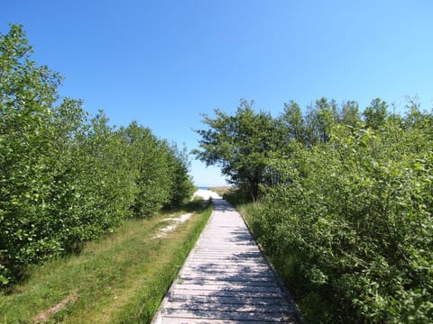 Outdoor