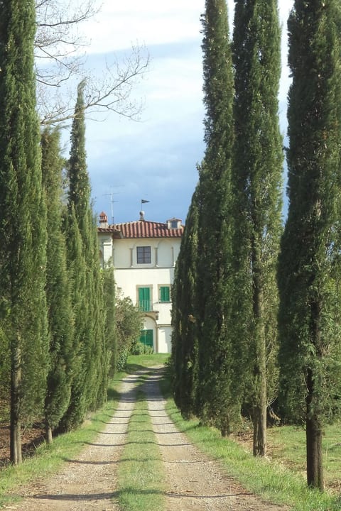 'Yellow House