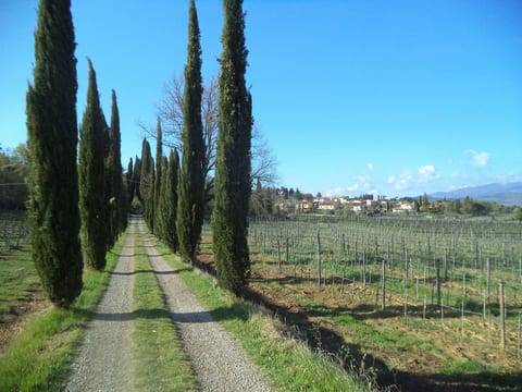 'Casa Rossa' mit Pool