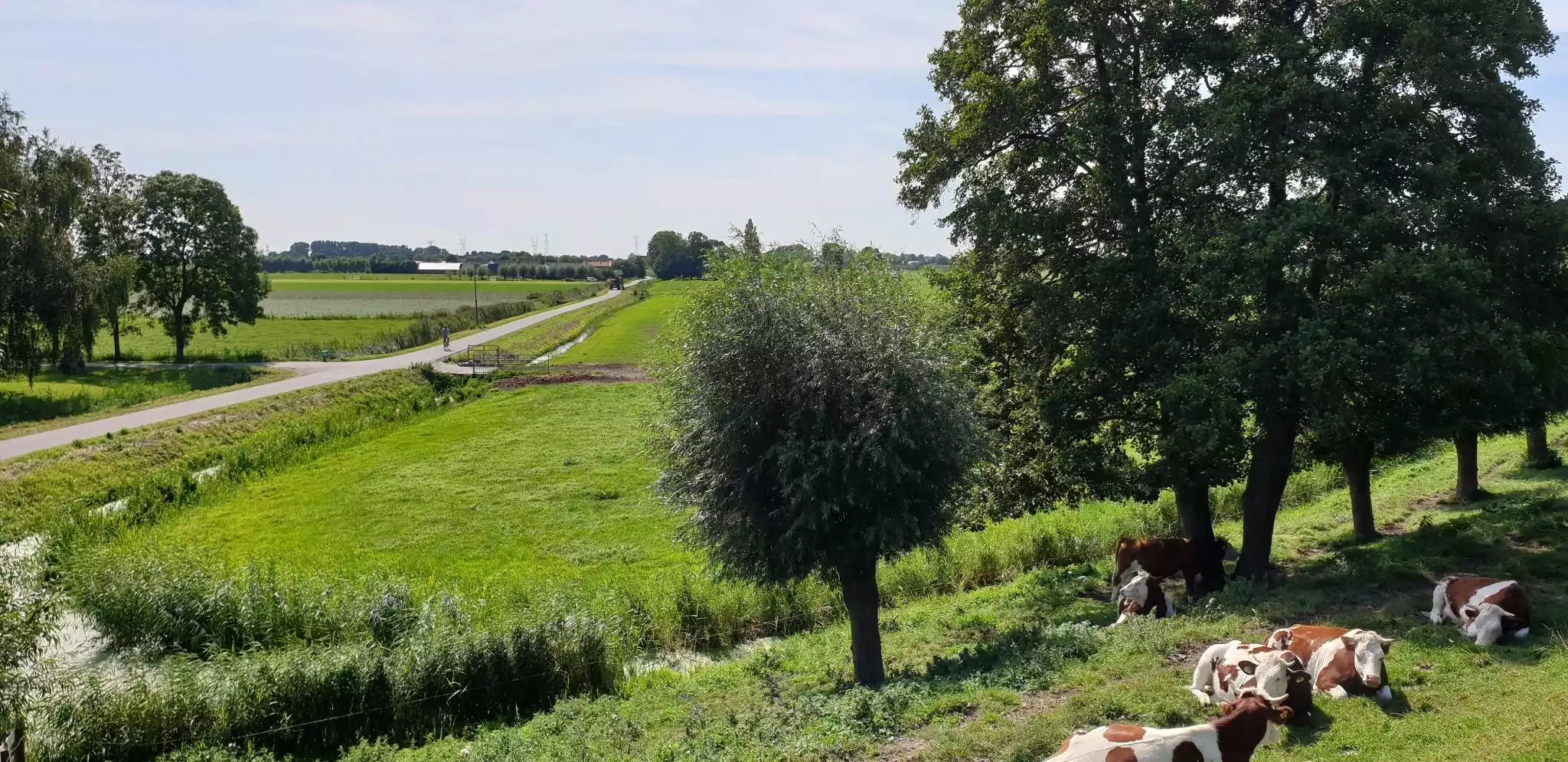 Vacation / Holiday rental in Heeten, Netherlands; bathroom - Salland Huys - Heeten