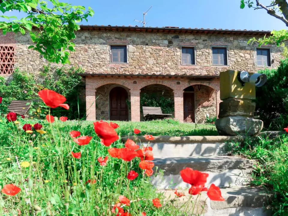 Agrumi - Montecatini Terme
