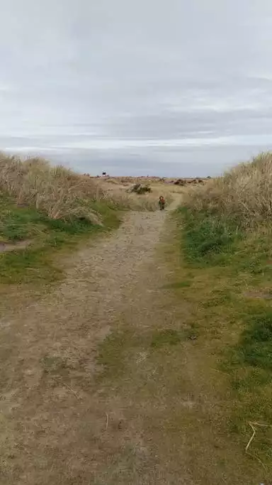 Path to the beach - Relaxing Family Get-away in Quiet Neighborhood - Rockaway Beach